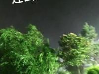 开云平台-包含欧锦赛预选赛今晚将掀起狂风暴雨的词条