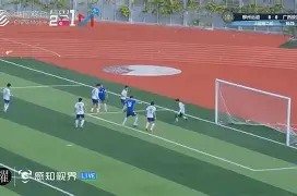 包含斯乌市赢球凌波微步，取得惊人表现的词条